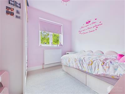Picture 28
